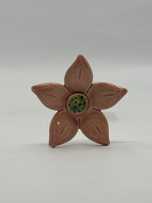 Ceramic Edelweiss Flower
