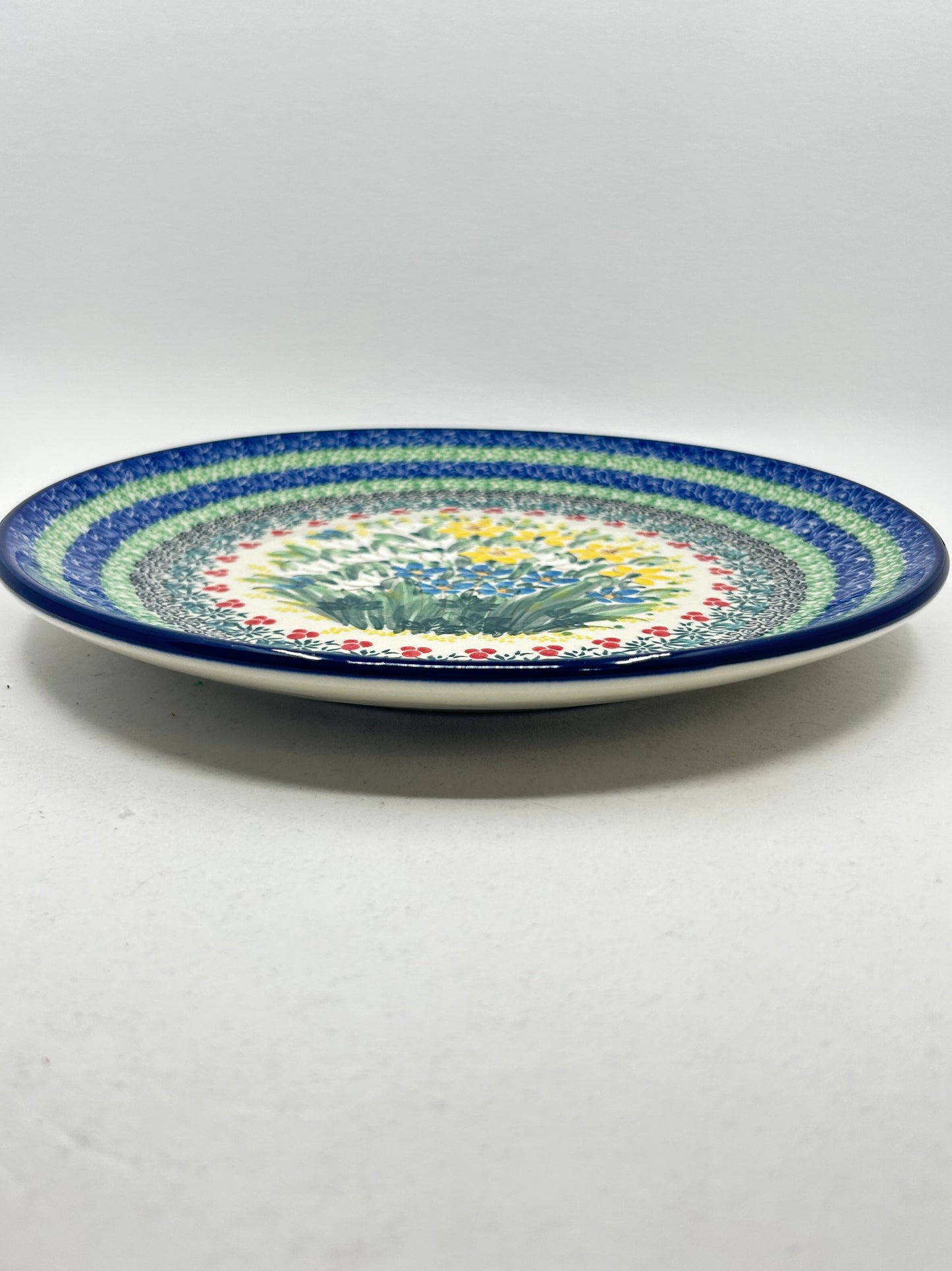 Plate ~ Dinner ~ 10 inch ~ U5131 - U4!