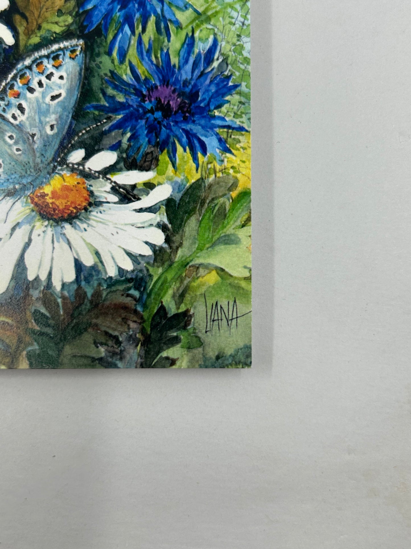 Teresa Liana Art Series - Daisy Card
