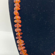 Load image into Gallery viewer, Baltic Amber Necklae made of Free form Amber Beads