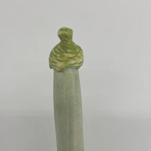 Load image into Gallery viewer, Tip Top Akorn Hat Nochale - 054