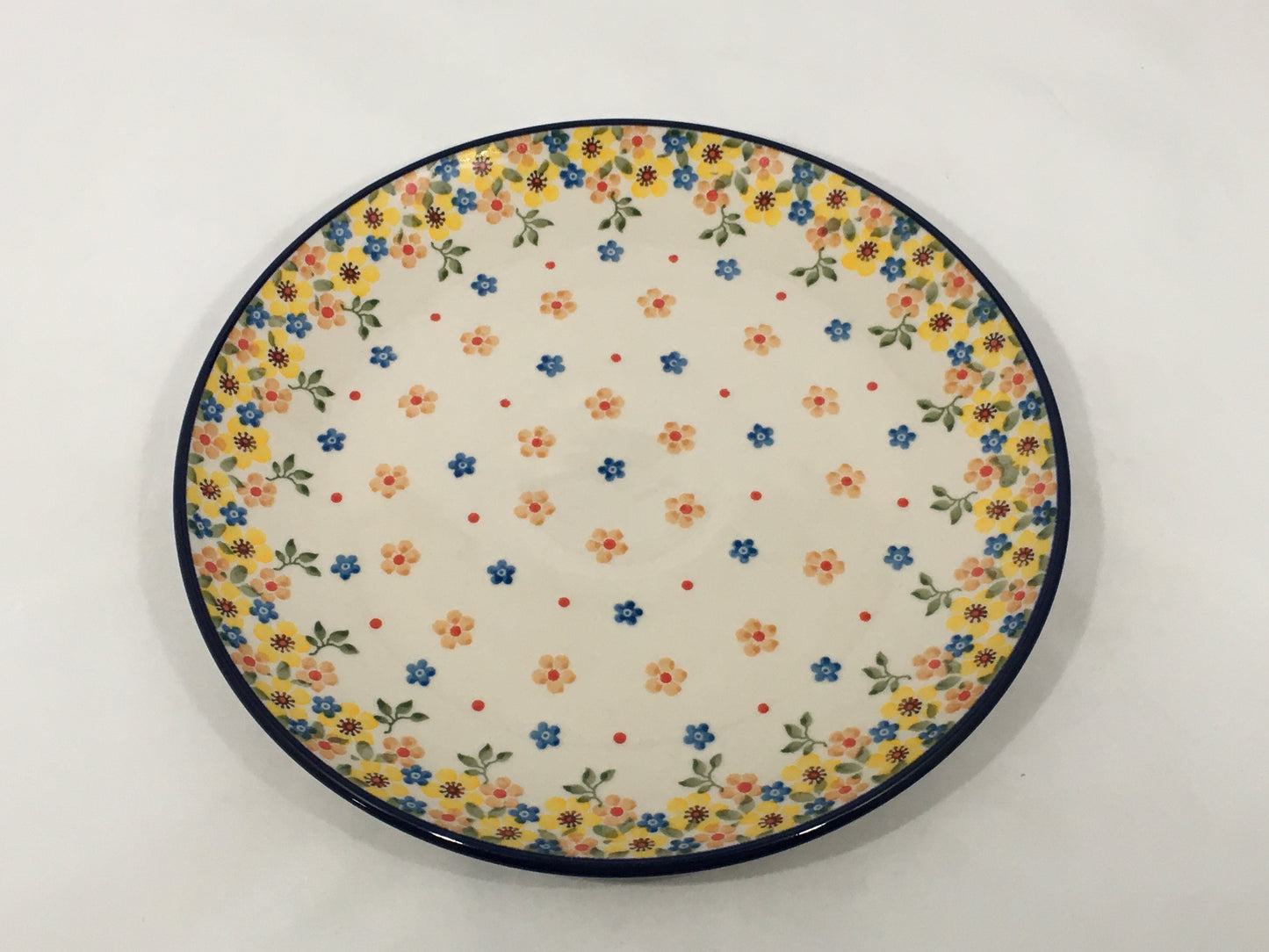 Plate ~ Dinner ~ 10 inch ~ 2225X - T3!