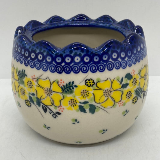 Egg Container - U-WP3