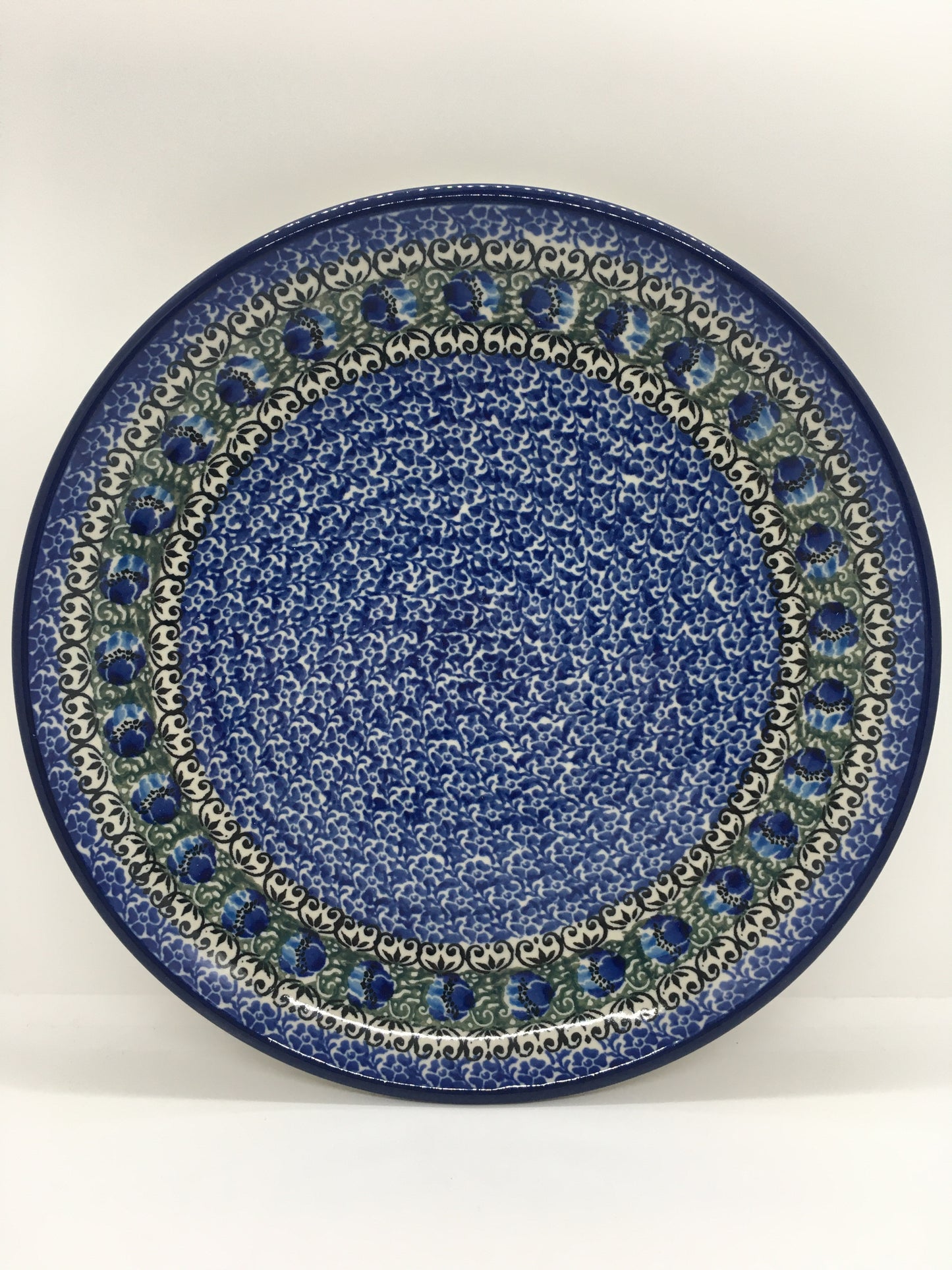 Plate ~ Dinner ~ 10 inch ~ 1513X - T3!