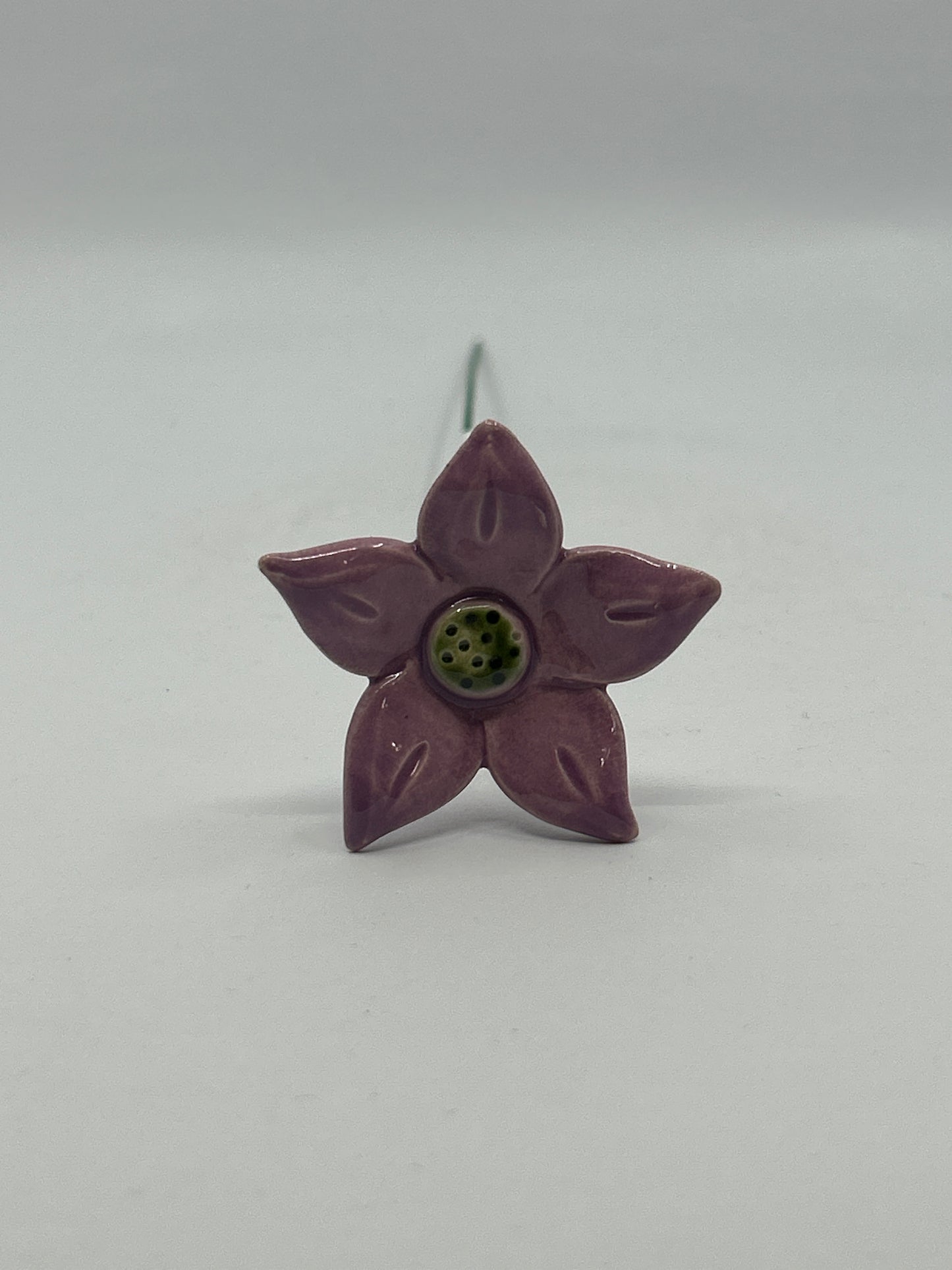 Ceramic Edelweiss Flower