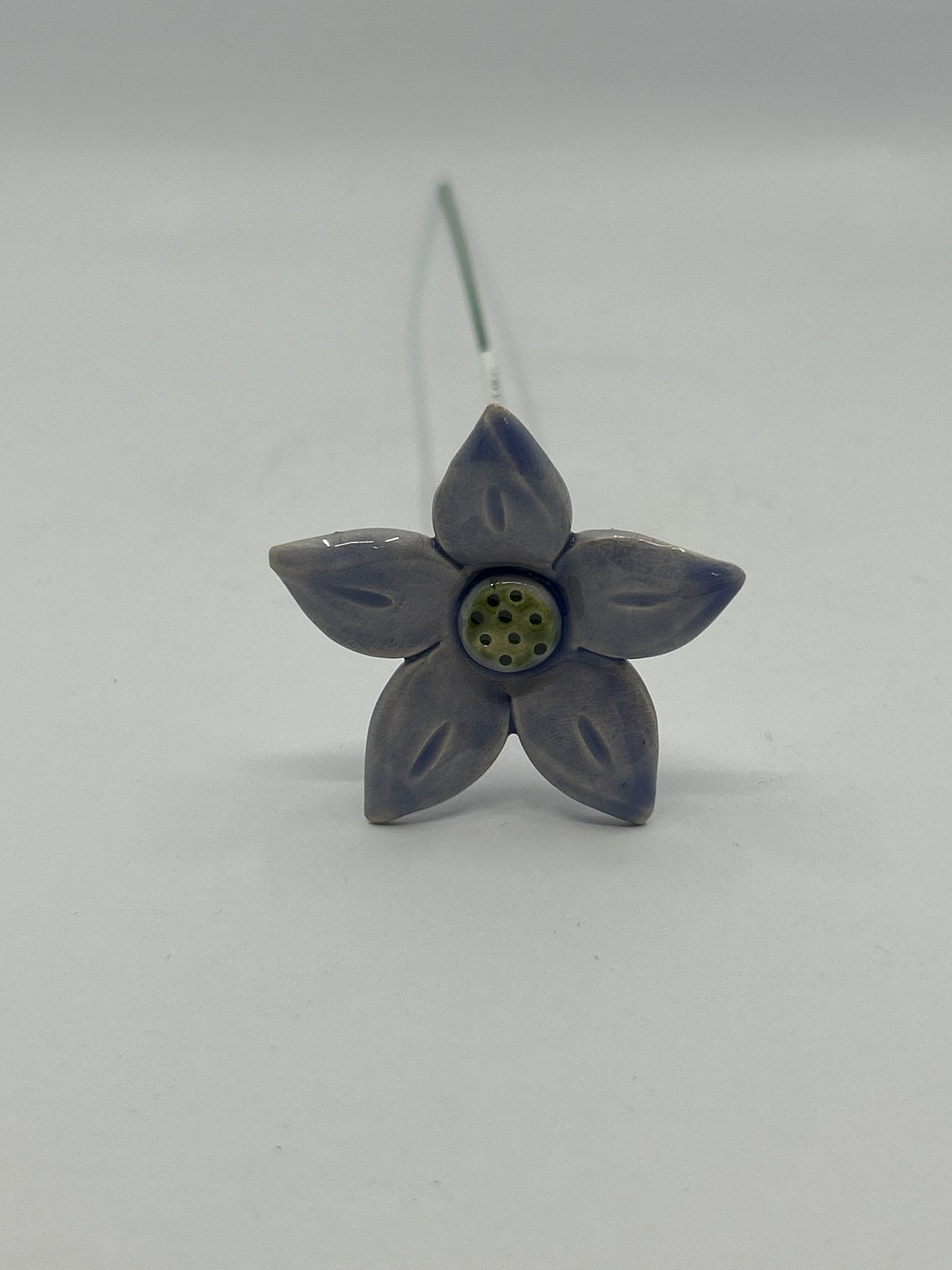 Ceramic Edelweiss Flower