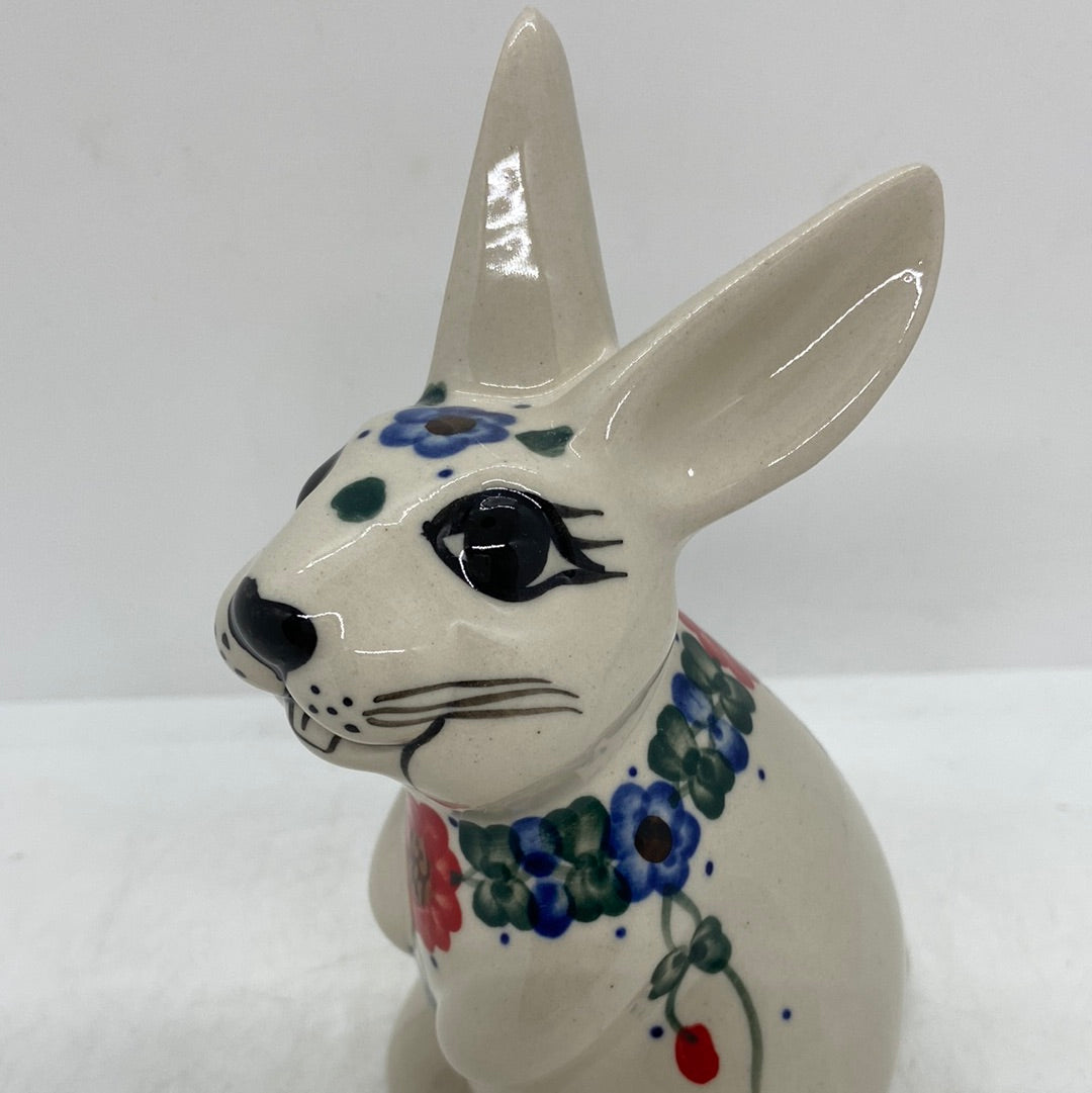 Andy Rabbit - D10