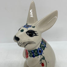 Load image into Gallery viewer, Andy Rabbit - D10