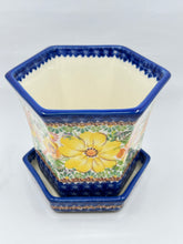 Load image into Gallery viewer, Kalich Medium Flower Pot - A816