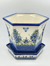 Load image into Gallery viewer, Kalich Big Flower Pot - U288