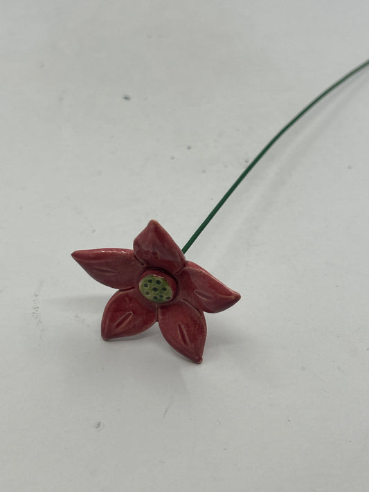 Misfit Ceramic Edelweiss Flower