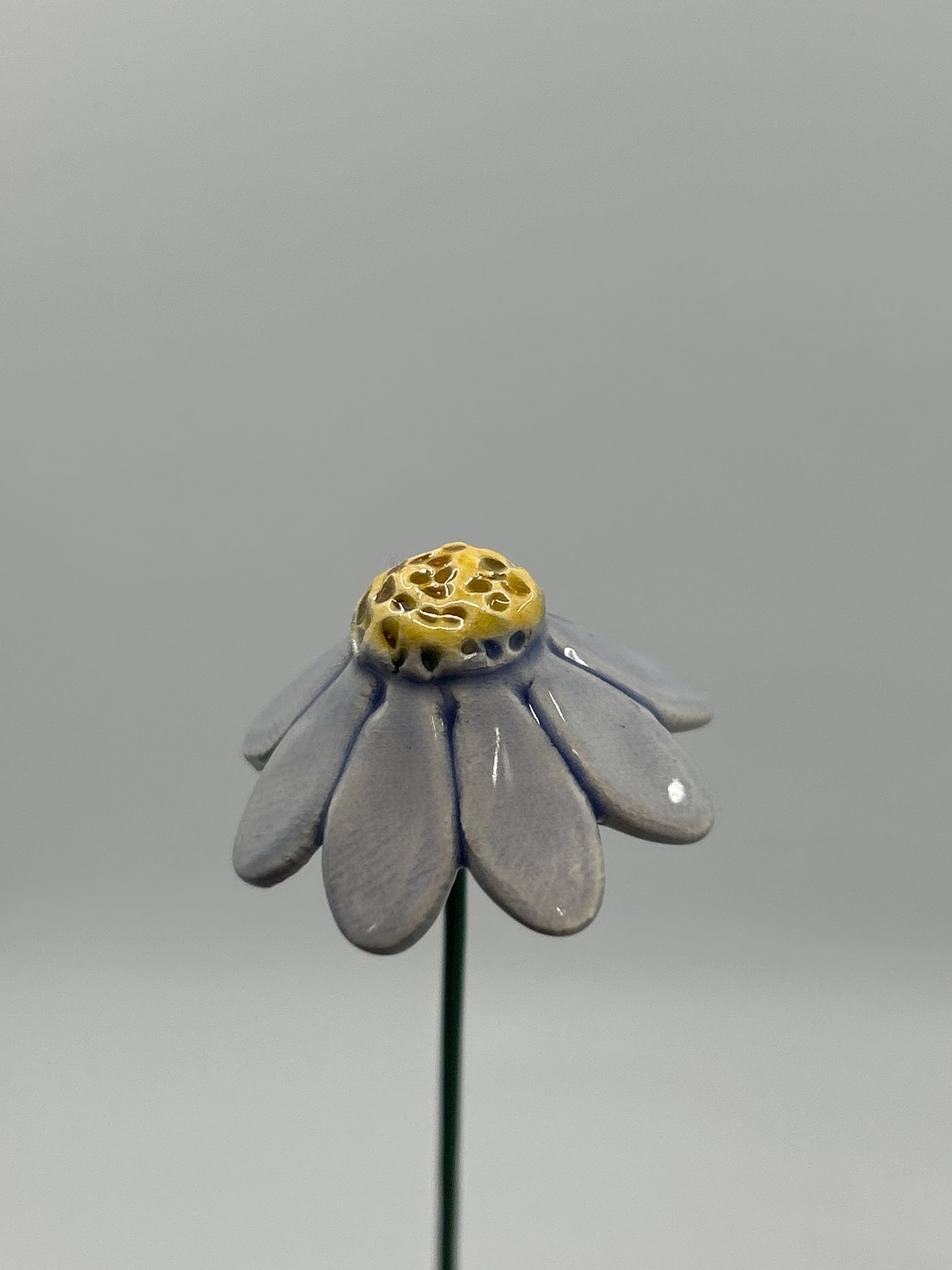 Chamomile Flower