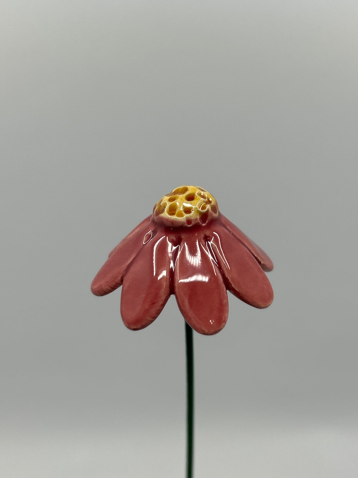 Chamomile Flower