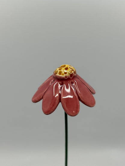 Chamomile Flower