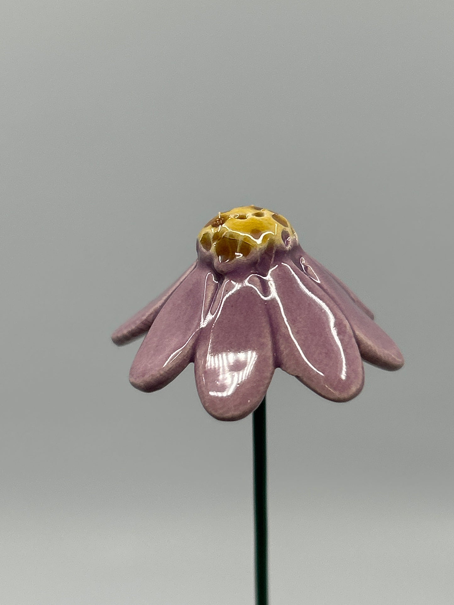 Chamomile Flower