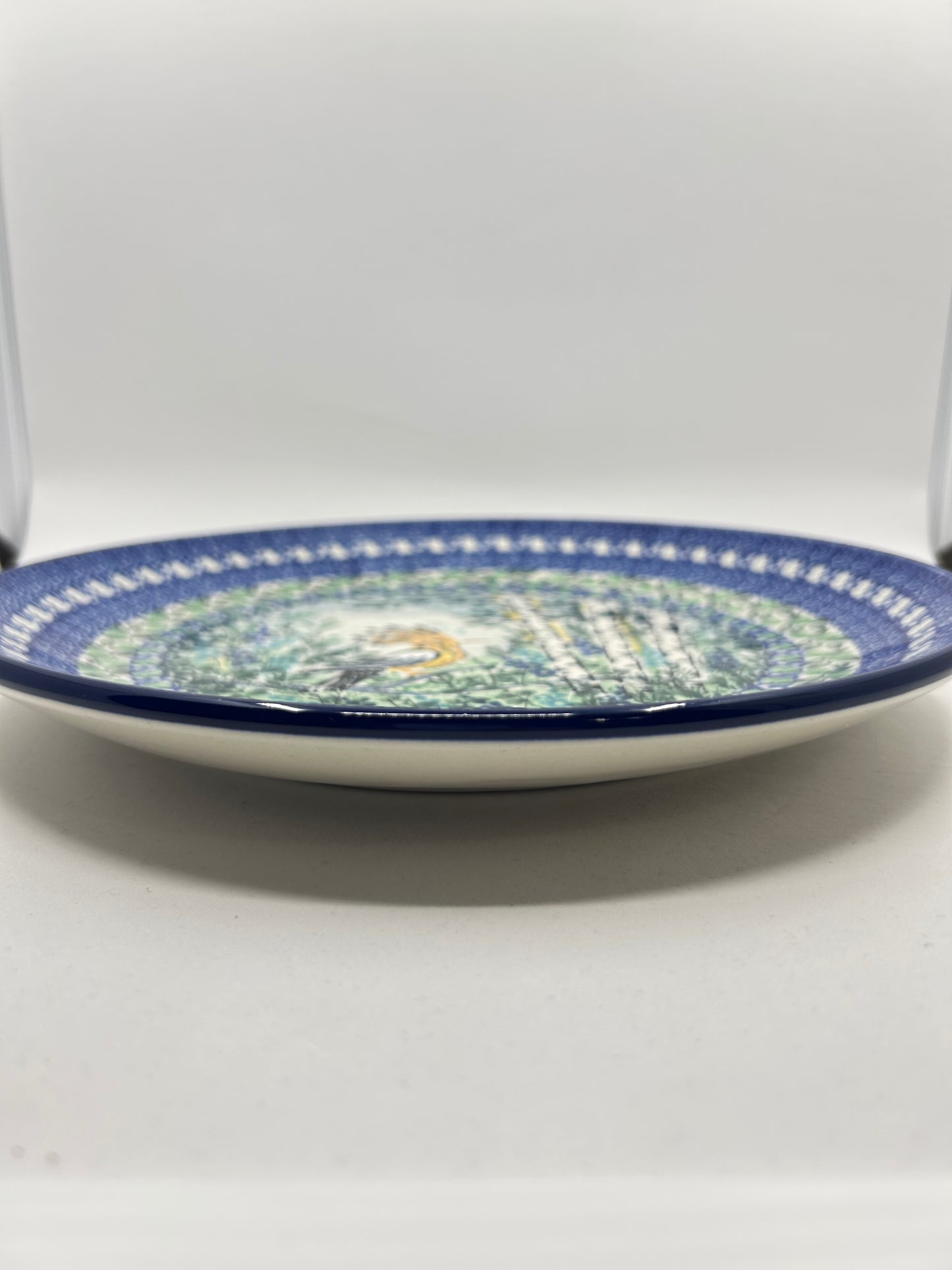 Plate ~ Dinner ~  10 inch ~ U5076 - U4!