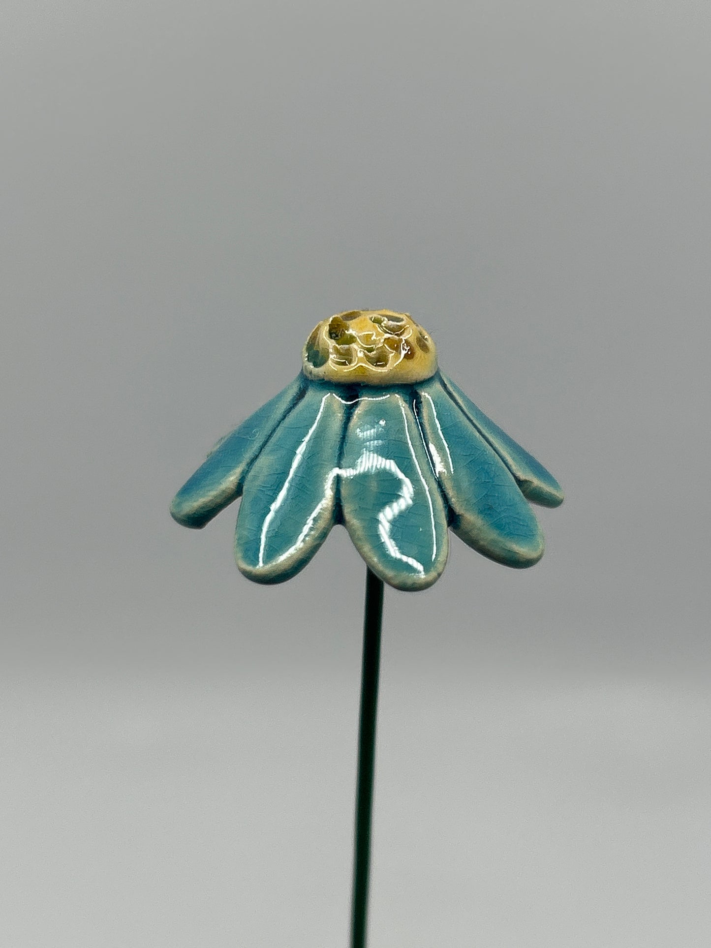 Chamomile Flower