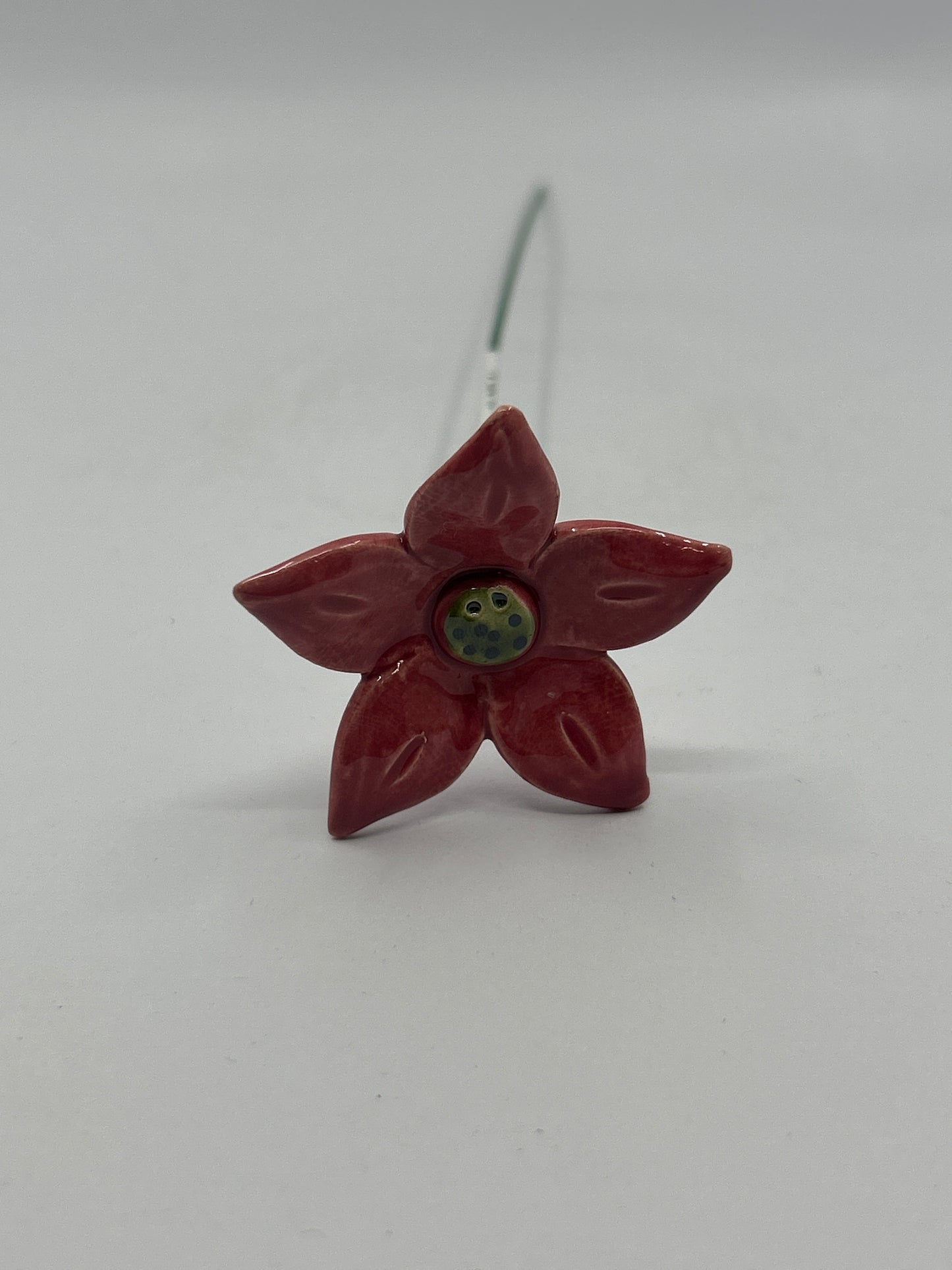 Ceramic Edelweiss Flower