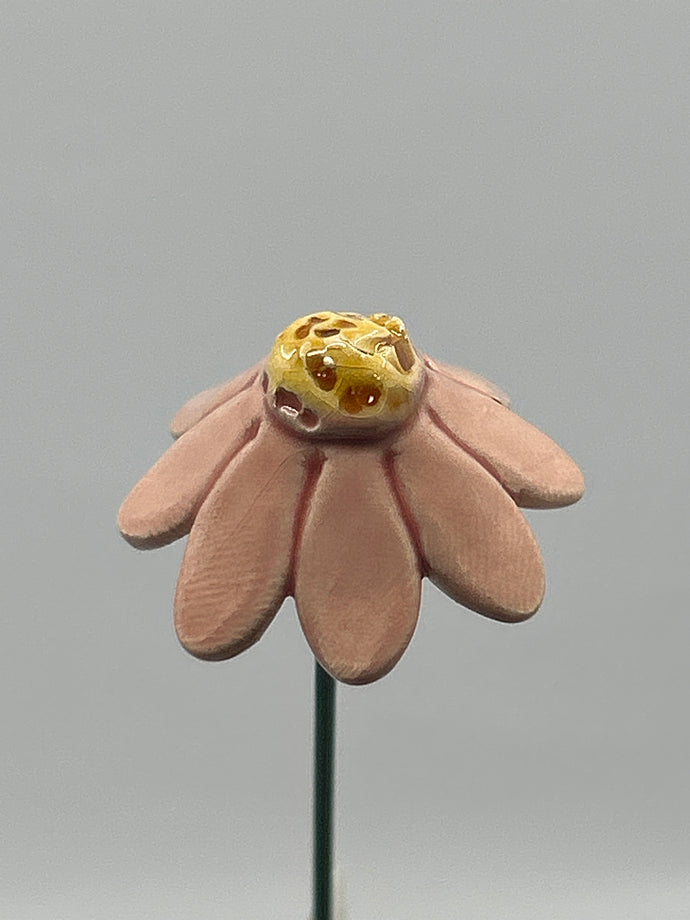 Chamomile Flower
