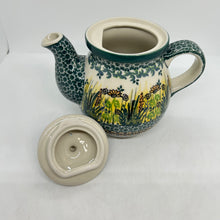 Load image into Gallery viewer, Teapot ~ 20 oz. ~ U4329 - U4!