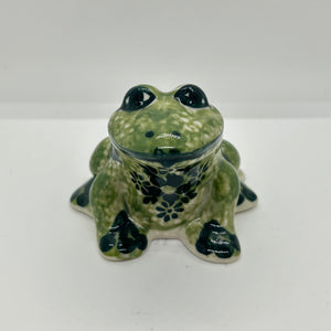 Andy Frog - D49