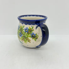 Load image into Gallery viewer, Bubble Mug ~ 11 oz.  ~ Hummingbird - A1