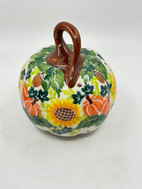 Baby Pumpkin ~ AXX5 - A1