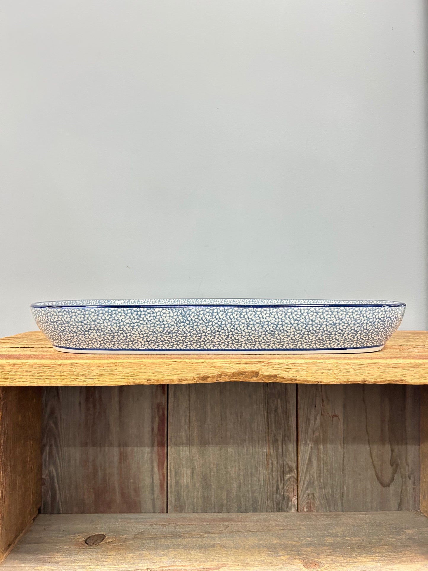 Tray ~ Shallow Rectangular ~ Large ~ 288AX ~ T1!