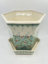 Load image into Gallery viewer, Galia Big Flower Pot - U-D1