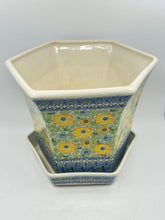 Load image into Gallery viewer, Galia Big Flower Pot - U-E2