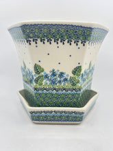 Load image into Gallery viewer, Galia Big Flower Pot - U-E3