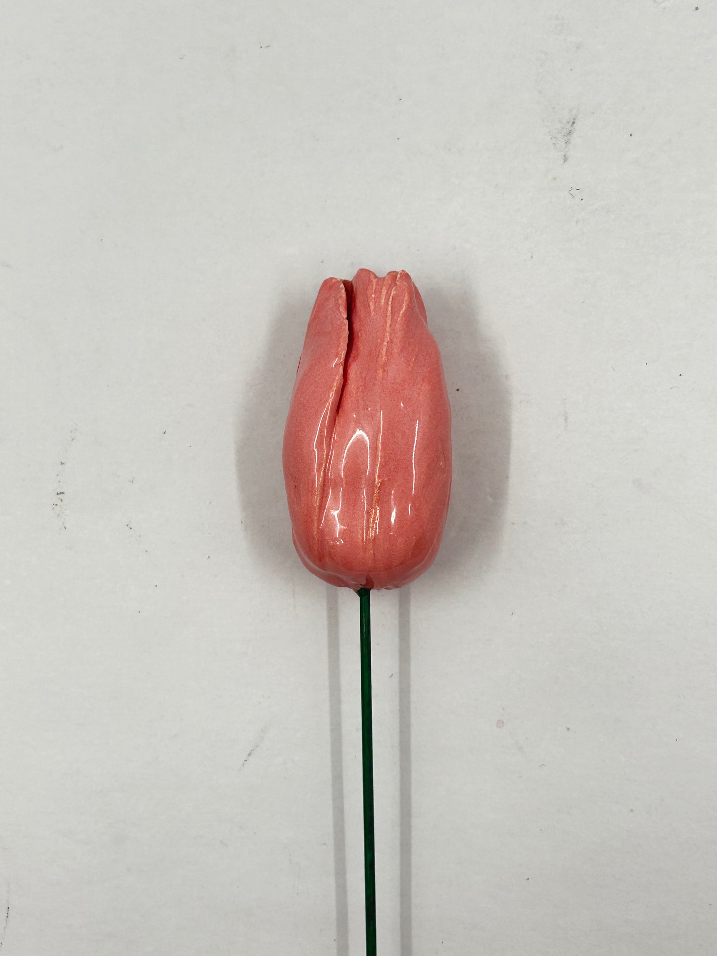Ceramic Tulip