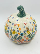 Load image into Gallery viewer, Closed Pumpkin - C1-666