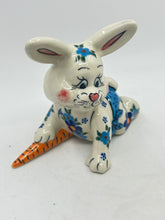 Load image into Gallery viewer, Crawling Bunny - B-203