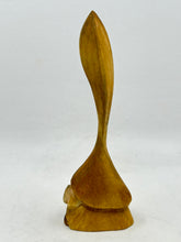 Load image into Gallery viewer, A Natural Look Nochal - 065