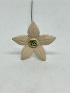 Ceramic Edelweiss Flower