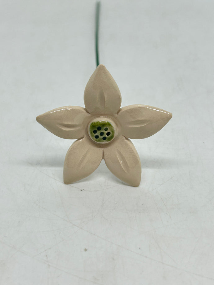 Ceramic Edelweiss Flower