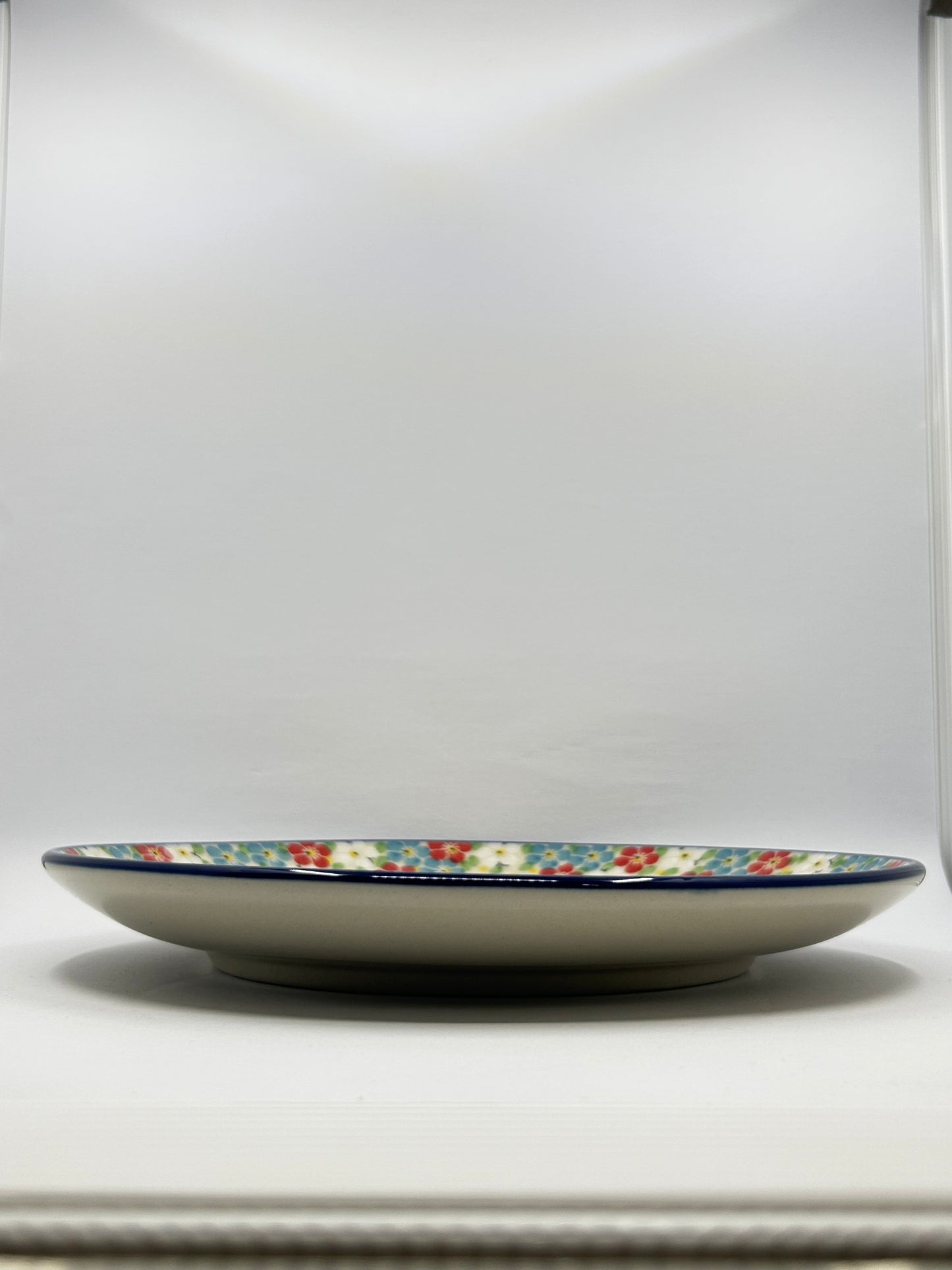 Plate ~ Dinner ~  10 inch ~ 2413X - T4!