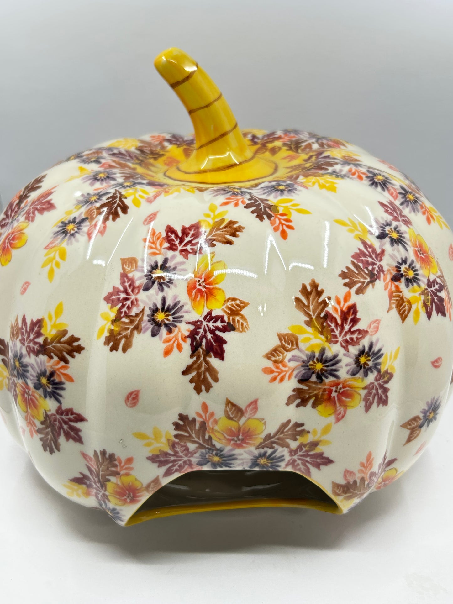 Large Pumpkin - Fall Leaves - U