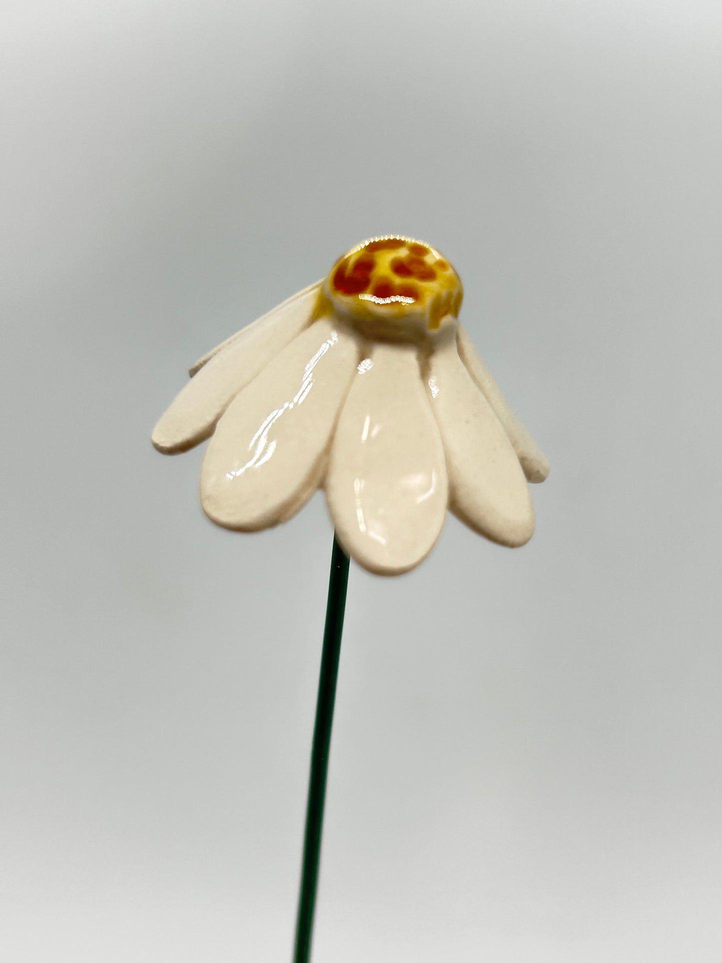 Chamomile Flower