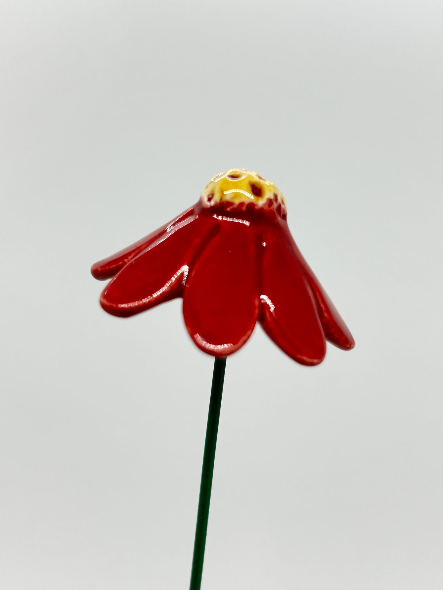 Chamomile Flower