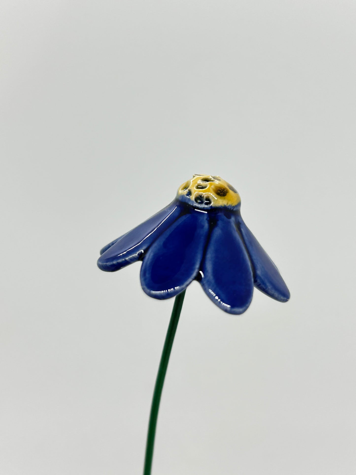 Chamomile Flower