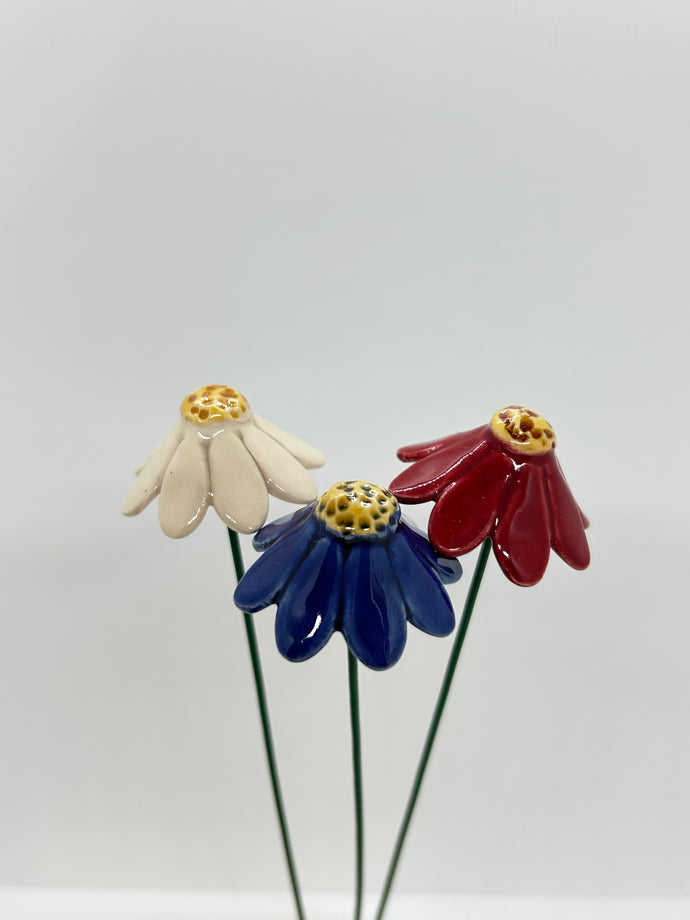 Chamomile Flower