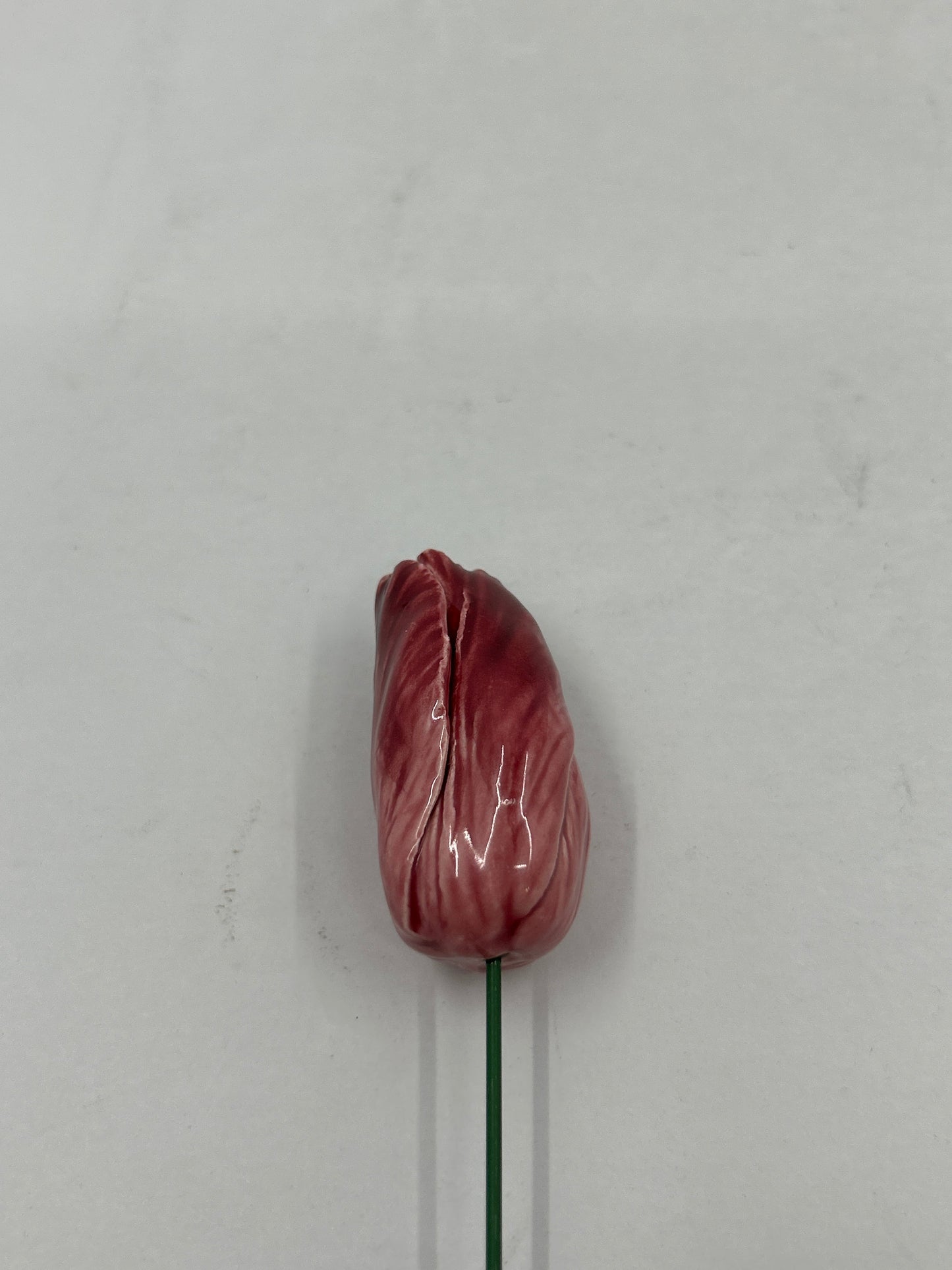Ceramic Tabby Tulip