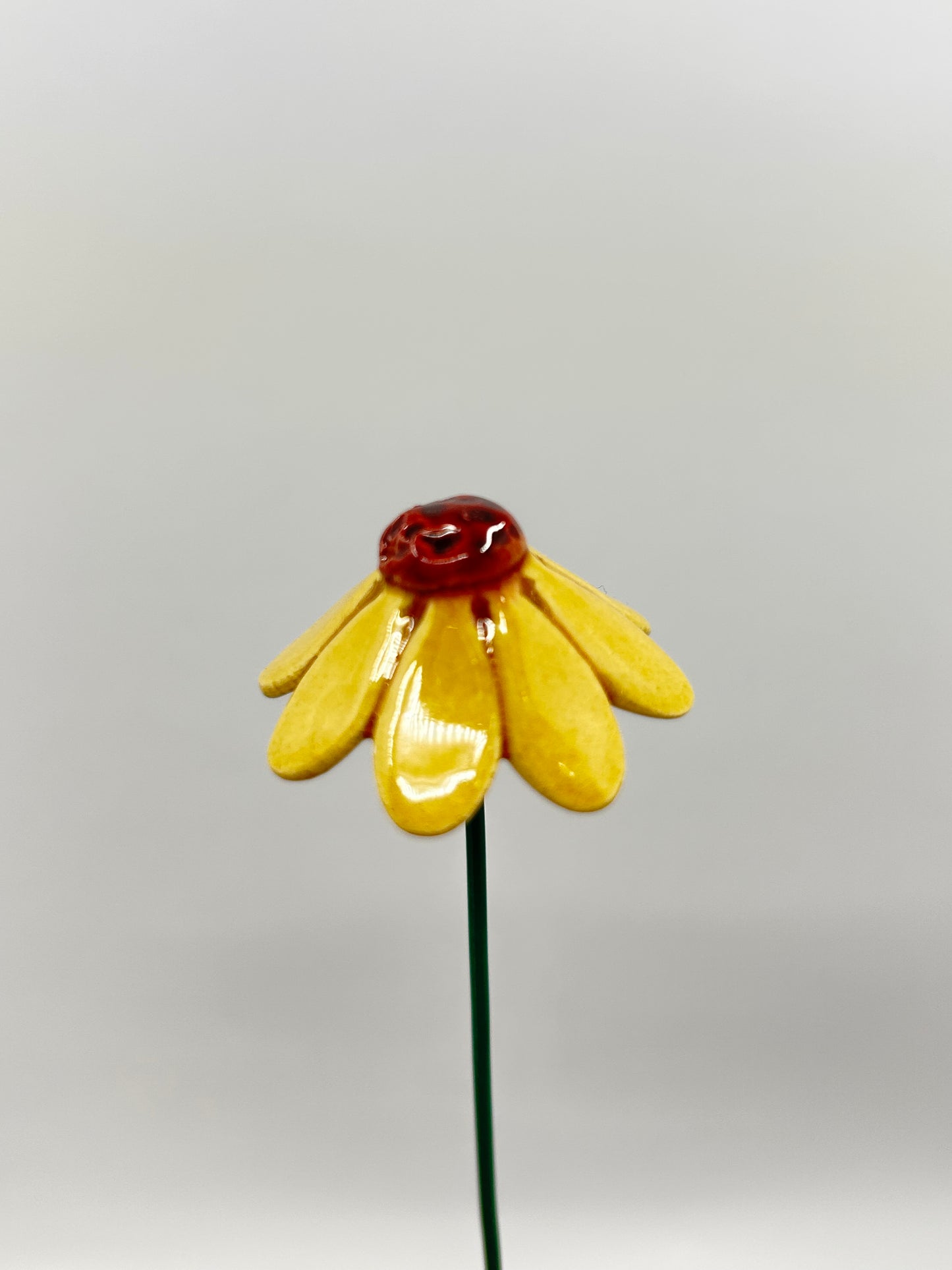 Chamomile Flower