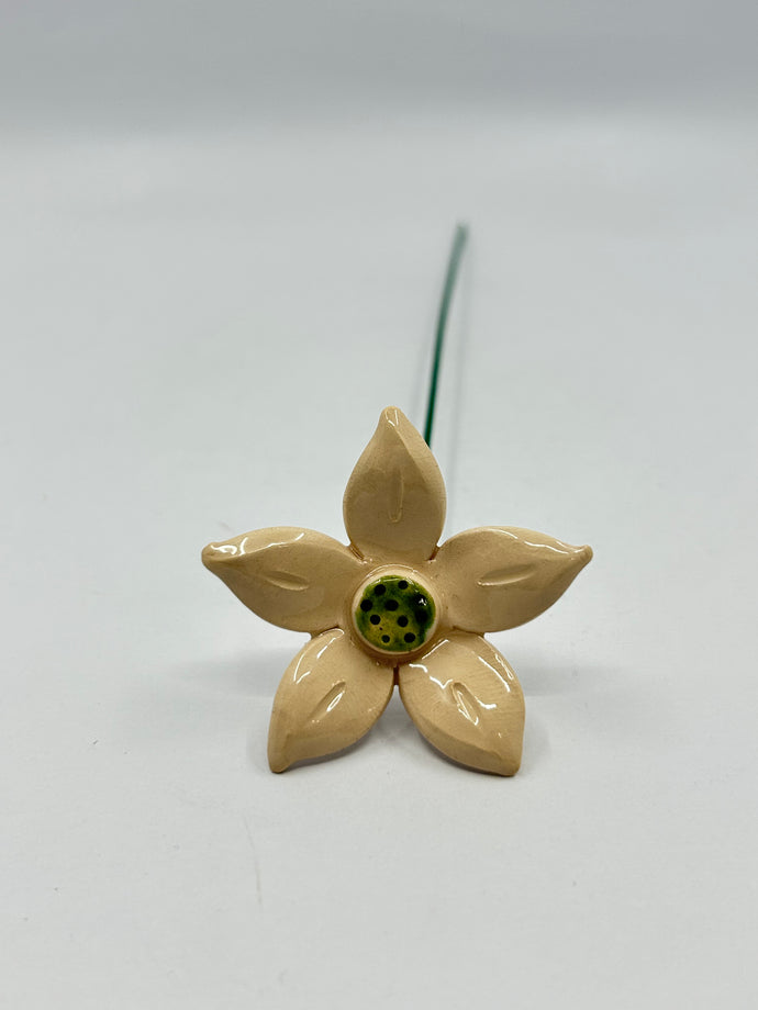 Ceramic Edelweiss Flower