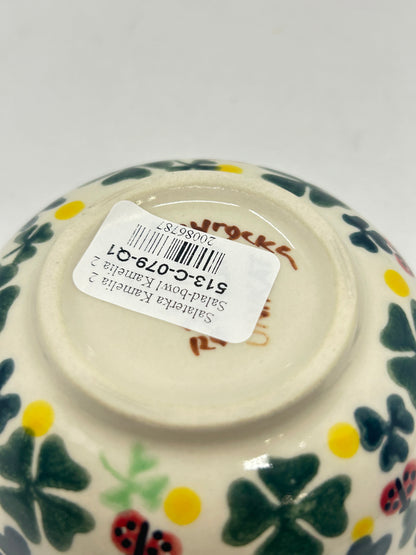 Salad Bowl - C-079