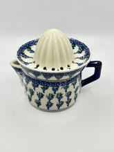 Load image into Gallery viewer, 1 cup Juicer ~ D14