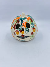 Load image into Gallery viewer, A445 Small Pumpkins D113