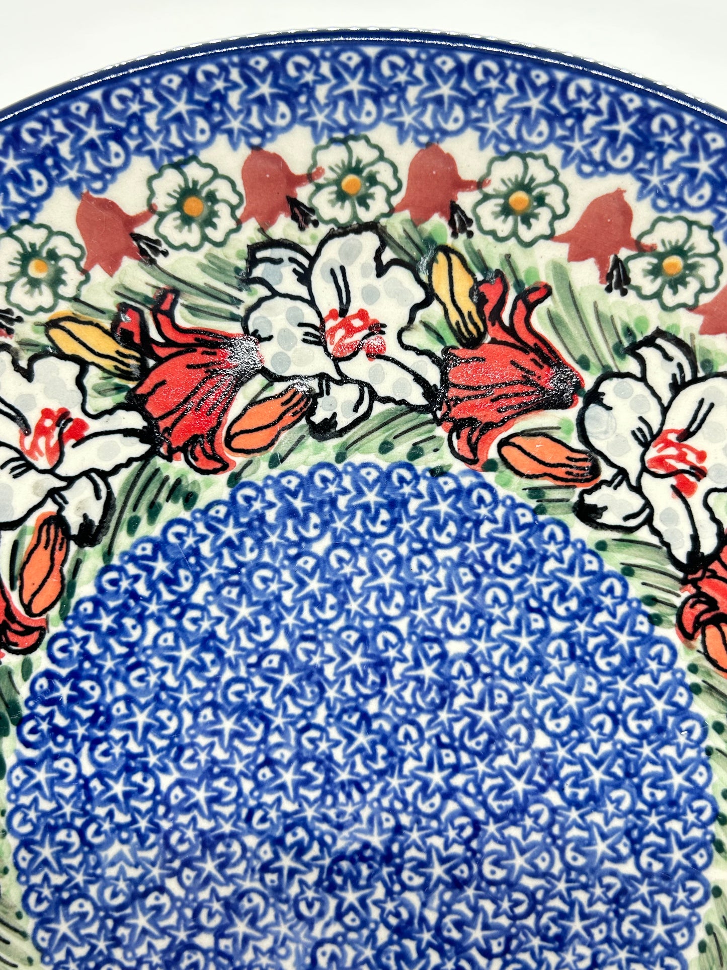 Plate ~ Dinner ~  10.5 inch ~ U4236 - U4!